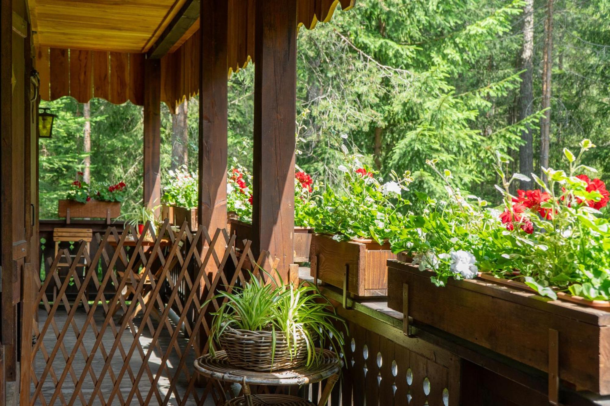 B&B Villa La Bercia San Vigilio Di Marebbe Εξωτερικό φωτογραφία